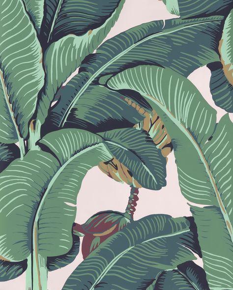 Martinique | CW Stockwell : CWStockwell_Martinique_WP_Green_Silo Martinique Wallpaper, Palm Leaf Design, Banana Leaf Wallpaper, Banana Leaf Print, Palm Wallpaper, Beverly Hills Hotel, Whatsapp Wallpaper, Banana Leaves, Storing Paint