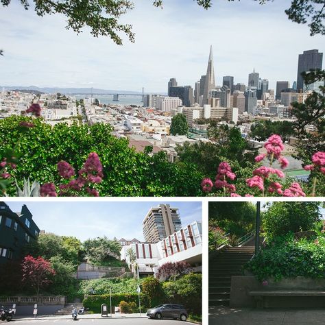 Russian Hill San Francisco, Pacific Heights, Im Falling In Love, Over The Hill, Union Square, North Beach, New York Style, Lush Garden, House Hunting