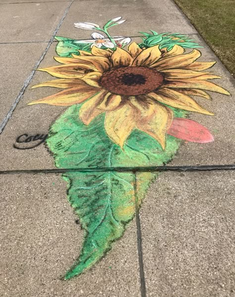 Flower Chalk Art Sidewalk, Driveway Chalk Art, Cute Sidewalk Chalk Art Easy Summer, Cute Side Walk Chalk Ideas, Sidewalk Chalk Art Ideas, Outdoor Drawing, Chalk Art Ideas, Sidewalk Chalk Butterfly, Summer Chalk Art Side Walk