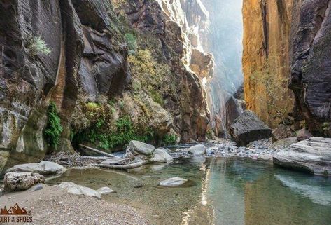 A Detailed Guide to Hiking The Narrows in Zion National Park | Page 4 of 4 | Dirt In My Shoes Trip To Zion National Park, Zion Narrows, Zion National Park Photography, Temple Of Sinawava, Hiking The Narrows, Riverside Walk, The Narrows, Zion Canyon, Take The Stairs