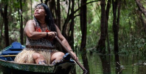 In an interview with Mongabay, Alessandra discusses what the prize means to her, the policy changes in Brazil, and the current crisis in the Munduruku territory. Hydroelectric Dam, Fish Activities, Good News Stories, Indigenous Peoples Day, Paris Agreement, Indigenous Community, Social Media Trends, Amazon Rainforest, Environmental Issues