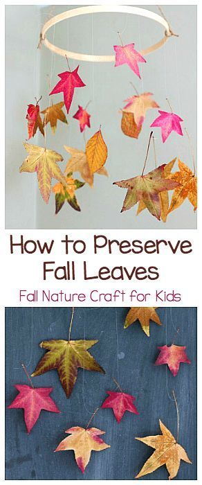 Two Ways to Preserve Fall Leaves: Fall Nature Craft and Science Activity for Kids! ~ BuggyandBuddy.com #fallleaves #fallcrafts #fallcraftsforkids #leafcraft #autumn Preserve Fall Leaves, How To Preserve Leaves, Science Activity For Kids, Nature Craft, Fun Fall Crafts, Fall Nature, Science Activity, Autumn Activities For Kids, Deco Nature