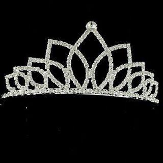 Tutorials : How to Make a Bead and Wire Tiara - The Beading Gem's Journal Wire Tiara, Kid Jewelry, Diy Tiara, Free Jewellery Making Tutorials, Beaded Crown, Diy Crown, Crystal Tiara, Rhinestone Tiara, Princess Tiara