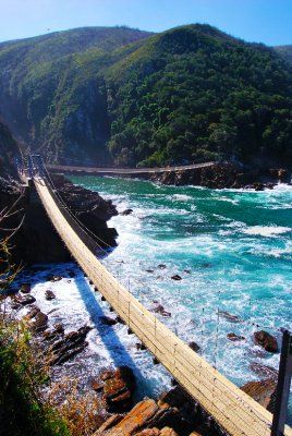 Take a walk on a bridge with a view at Storms River in the Western Cape. Tsitsikamma National Park, Knysna, Africa Do Sul, Garden Route, To Infinity And Beyond, Africa Travel, Pretty Places, Places Around The World, Blue Water