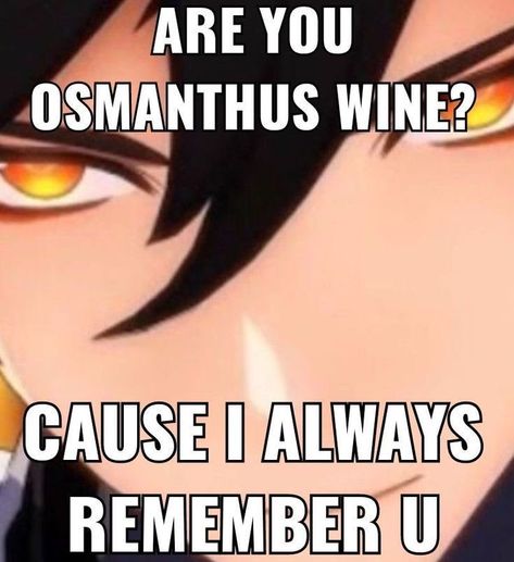 Genshin Mood Pics, Cursed Genshin Pics, Osmanthus Wine Zhongli, Genshin Funny Pics, Cursed Zhongli, Zhongli X Reader, Genshin Impact Meme Funny, Osmanthus Wine, Cursed Genshin