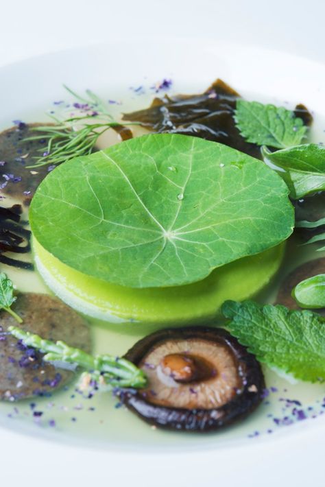 This stunning vegan starter recipe from Michelin-starred vegetarian restaurant Joia combines flavours of land and sea in this truly stunning dish. Vegan Michelin Recipes, Vegan Michelin Star, Dairy Free Risotto Recipes, Michelin Recipes, Pea Cream, Dairy Free Risotto, Veganuary Recipes, Vegan Starter, Elegant Dishes