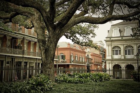 New Orleans Garden District, Battle Of New Orleans, New Orleans Hotels, Visit New Orleans, Haunted History, New Orleans French Quarter, Romantic Hotel, New Orleans Travel, Garden District