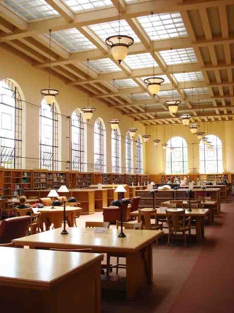 Stanford Library, University Inspiration, Summer Programs, Best Colleges, Dream College, Dream School, College Campus, University Campus, Stanford University