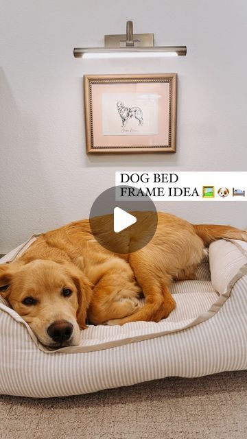 Shelby | Gift-in-a-Box Guide on Instagram: "Wait until you see how cute 🥺  I’ve been so obsessed with the dog bowl gallery wall trend so I knew I wanted to put a spin on it!  I know it’s silly but I really struggled on where to put Brody’s bed because it looked weird in the middle of the room but it also takes up a significant amount of space so it made the wall look empty   So I found this cute dog print on Etsy, added it to a cute frame, put a cordless picture light above it and it completely changed the space!   Tag a dog mom who needs to do this!!  I found the dog bed at @homegoods and the framed art at @hobbylobby so unfortunately there isn’t a direct link but I found a few similar options that I linked as well   *Comment BRODY for a link to the cordless picture light and dog print s Dog Bowl Gallery Wall, Gallery Wall For Dog, Dog Gallery Wall, Dog Picture Wall, Cordless Picture Light, Dog Bed Frame, Kids Rooms Shared, Cute Frame, Bed Picture