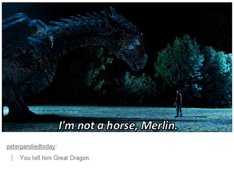 Kilgarrah Dragon, Dragon Lord, Merlin Memes, Merlin Funny, Merlin Colin Morgan, Merlin Series, Merlin Fandom, Merlin Cast, Arthurian Legend