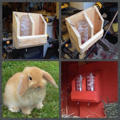 Picture of Bunny Rabbit Hydration Station Made From Scrap Wood Diy Rabbit Hutch, Bunny Ideas, Rabbit Enclosure, Rabbit Farm, Bunny Hutch, Meat Rabbits, Diy Bunny, Raising Rabbits, Rabbit Life