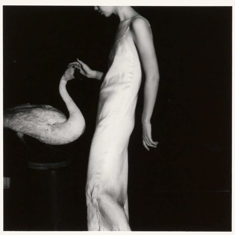 Francesca Woodman: Nothing but Herself Jenny Saville, Francesca Woodman, Duane Michals, Giovanni Boldini, Lady Godiva, Shirley Jones, Cindy Sherman, Swan Song, Gelatin Silver Print