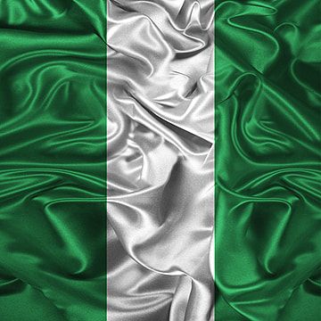 Nigeria Flag Wallpaper, Nigeria Map Design, Nigeria Flag Design, Nigerian Flag Background, Nigerian Flag Art, Nigeria Flag Aesthetic, Nigerian Flag Png, Nigerian Flag Aesthetic, Nigeria Flag Background