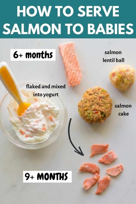 Salmon For 9 Month Old, Salmon For 8 Month Old, Salmon Recipe For Baby, Salmon Puree For Baby, Salmon Recipes For Baby, Baby Salmon Recipe, Salmon Baby Led Weaning, Salmon For Toddlers, Salmon Baby Food Recipes