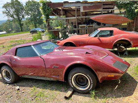 1975 Chevrolet Corvette 1975 Corvette, Cars 4, Door Panels, S Car, Chevrolet Corvette, Black Interior, Carpet, Cars, Frame