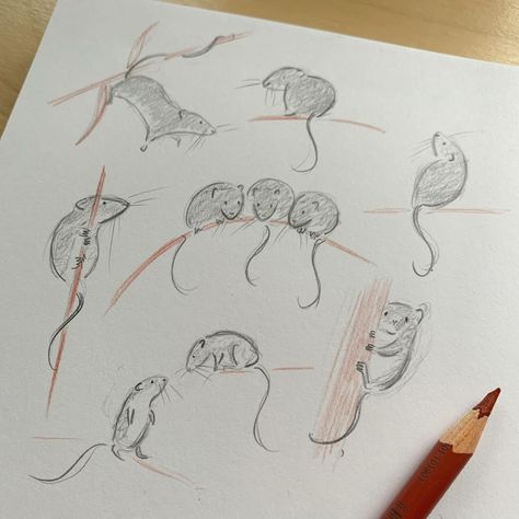 Mini Mice. I’d like to design a harvest mouse pin badge, so I scribbled a few ideas over lunch. I promise I’ll draw something else soon (puffins anyone?) but just now my mind is still full of seasonal countryside creatures after creating work for an upcoming ‘Harvest’ exhibition at @wightmangallery next month! . #harvestmouse #mouse #miceofinstagram #tiny #sketchbook #sketch #designtime #sararhys Tiny Sketchbook, Harvest Mouse, Mouse Drawing, Mini Mouse, Just Now, Draw Something, Pin Badges, I Promise, Mice