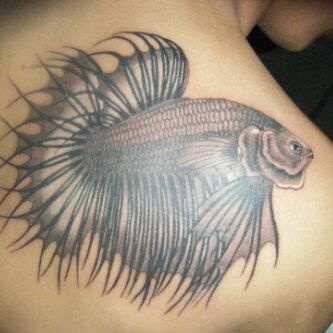 Betta fish tattoo Fighter Fish Tattoo, Betta Tattoo, Betta Fish Tattoo, Fighter Fish, Fish Tattoo, My Idea, Tat Ideas, Betta Fish, A Tattoo