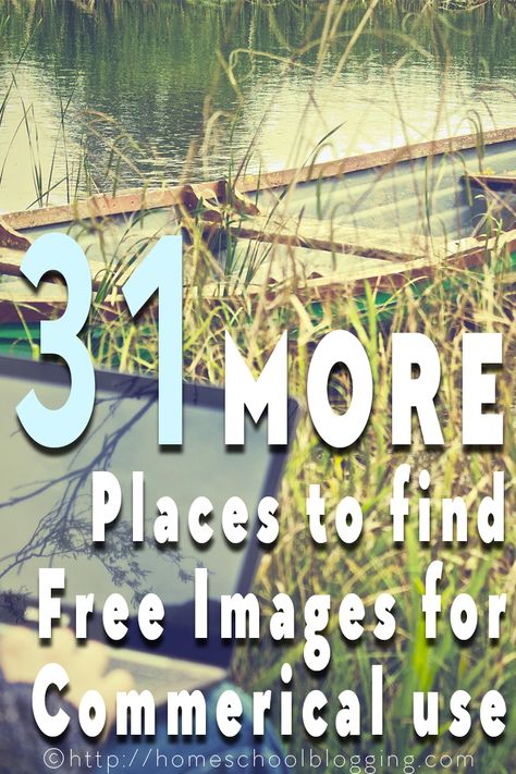 Free Illustrations For Commercial Use, Copy Right Free Images, Free Images For Commercial Use, Website Building, Graphic Design Fonts, Free For Commercial Use, Sell Art, Blogger Tips, Best Photo Poses