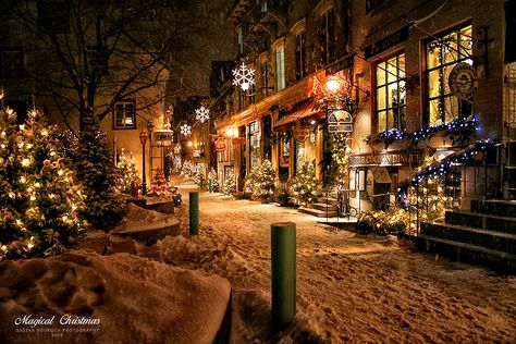 Why, yes, I would like to spend Christmas here. I would like a hot chocolate and a stack of books waiting for me. Mobile Ringtones, Street Wallpaper, Christmas Street, Christmas Town, Christmas Scenes, City Street, Noel Christmas, Merry Little Christmas, Magical Christmas