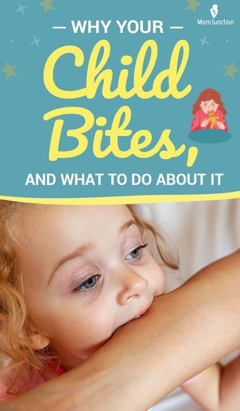 This may seem all kinds of bizarre to you, but anyone with a toddler knows that at some point or another, kids and biting go together like bread and butter. However, this isn’t just a coincidence or a late side effect of teething. Toddler Biting, Toddler Discipline, Older Siblings, Daycare Ideas, Mom Junction, Bread And Butter, Baby Development, Positive Parenting, Baby Things