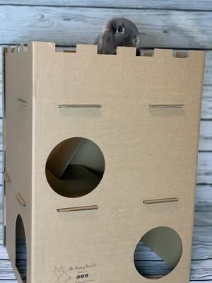 Bunny Castle Diy, Bunny Cardboard, Cardboard Rabbit, Cardboard Bunny, Bunny Enrichment, Bunny Castle, Diy Bunny Toys, Cardboard Castle, Diy Bunny