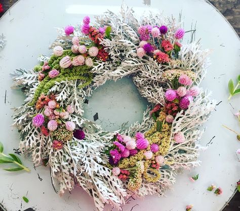 Raincrow on Instagram: “This delicate everlasting wreath, perfect for a nursery or any feminine space is mostly dusty miller, amaranth, sedum and a little statice.…” Everlasting Wreath, Dried Floral Wreath, Feminine Space, Dried Flowers Crafts, Dried Floral Wreaths, Dried Florals, Farm Crafts, Dusty Miller, Cut Flower Garden