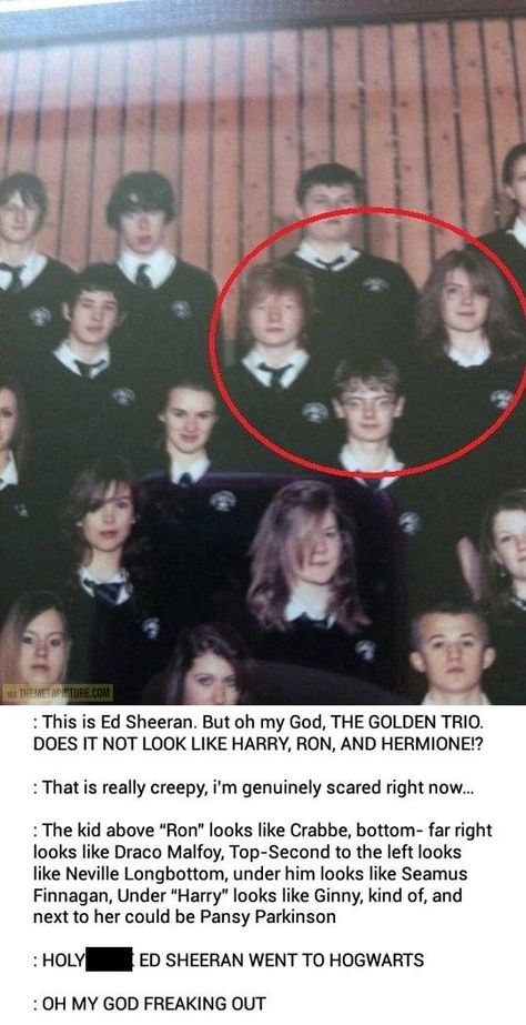 Ed Sheeran went to Hogwarts Ed Sheeran School Picture Harry Potter, Weird Ships Fanart, Drarry Fanart Top Harry, Older Harry Potter, Funny Harry Potter Pictures, Harry Potter Memes Funny, Meme Harry Potter, Princess Harry, Beteg Humor