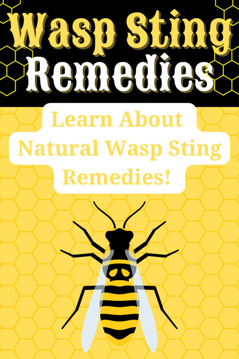 Homemade Wasp Sting Remedies: Natural Relief for Pain and Swelling: Learn how to use baking soda, honey, ice packs, witch hazel, and apple cider vinegar as natural remedies for wasp stings. These simple ingredients can help alleviate pain, reduce swelling, and provide soothing relief right from your kitchen pantry.
#waspstings #naturalremedies #stings Bee Sting Swelling, Wasp Sting Remedy, Wasp Sting, Ice Witch, Wasp Stings, Baking Soda Vinegar, Reduce Swelling, Bee Sting, Ice Packs