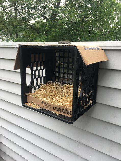 DIY pigeon nest Diy Pigeon Coop, Pigeon Nest Box Ideas, Pigeon Aviary Outdoor, Pet Pigeon Cage, Pigeon Nesting Boxes Diy, Pigeon House Ideas, Pigeon Aviary, Diy Pigeon, Nesting Boxes Diy