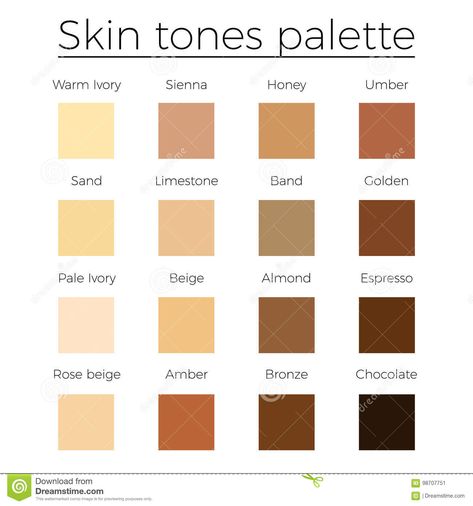 Skin Tones Color Palette Vector Stock Vector - Illustration of glamour, human: 98707751 Skin Tones Color Palette, Find Skin Tone, Skin Tone Chart, Skin Color Chart, Which Hair Colour, Hair Color Chart, Color Skin, Colors For Skin Tone, Skin Colors