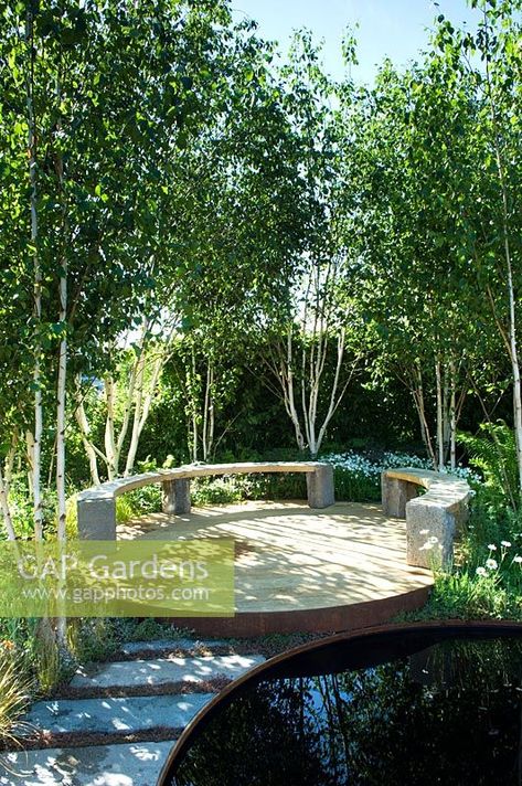 Secret Garden Seating, Silver Birch Garden, Silver Birch Tree Landscaping, Circular Bench, Circular Garden Design, Birch Trees Garden, Royal Bank Of Canada, Circular Garden, Silver Birch Tree