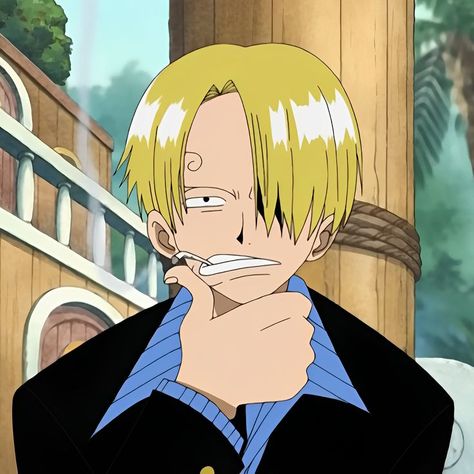 Joker Images, Watch One Piece, Sanji Vinsmoke, Crush Pics, One Piece Images, One Piece Pictures, Anime Screenshots, Comic Panels, Nico Robin