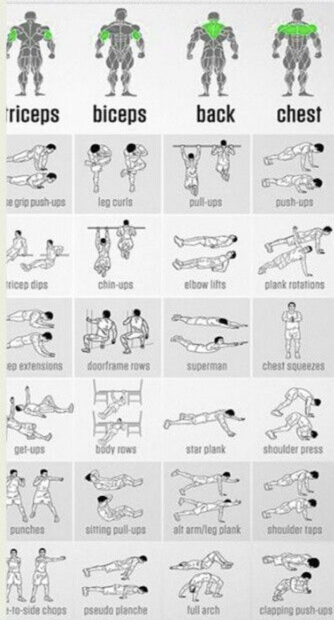 Exercise Chart, Latihan Dada, Trening Sztuk Walki, Gym Antrenmanları, Easy At Home Workouts, Gym Workout Chart, Abs Workout Gym, Trening Fitness, Calisthenics Workout