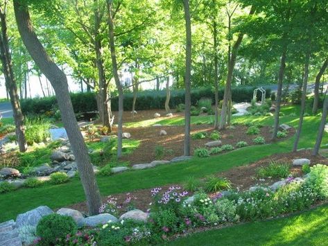 Ideas Around Trees, Sloping Backyard, Wooded Backyard, Landscaping A Slope, Affordable Backyard Ideas, Landscaping Around Trees, Wooded Landscaping, Sloped Backyard, Rock Garden Plants