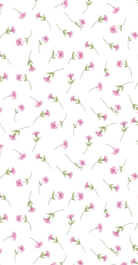 Lg Wallpaper, Iphone Backgrounds, Cute Patterns Wallpaper, Flower Phone Wallpaper, Iphone Background Wallpaper, Simple Wallpapers, Pastel Wallpaper, Cute Wallpaper Backgrounds, Flower Backgrounds