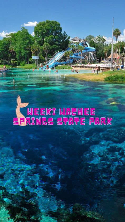 Weekie Watchie Springs, Weeki Wachee Mermaids, Weeki Wachee Florida, Underwater Mermaid, Seminole Indians, Weeki Wachee, Florida Springs, Spring Park, Travel Time