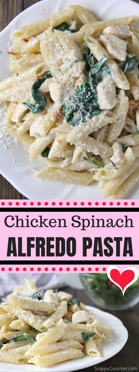 Chicken Spinach Alfredo Pasta, Spinach Alfredo Pasta, Recipes Spinach, Spinach Alfredo, Alfredo Sauce Recipe Homemade, Pasta With Alfredo Sauce, Pasta Recipes Alfredo, Pasta Chicken, Chicken Alfredo Pasta