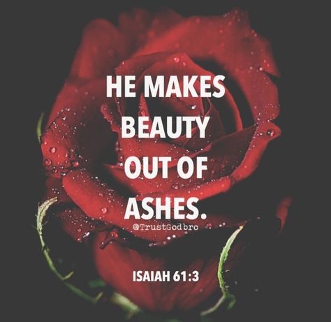 Ashes Quotes, Beauty For Ashes Scripture, Beauty Out Of Ashes, Bible Verses For Teens, Beauty From Ashes, Beauty For Ashes, Pray For Love, God Is Amazing, Success Goals