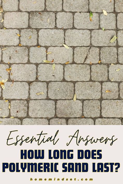 Get answers to the lifespan of polymeric sand! This guide covers everything you need to know. Ensure your pavers stay securely in place. Polymeric Sand Diy, Nj House, Aggregate Patio, Paver Sand, Industrial Chic Interior, Polymeric Sand, Diy Techniques And Supplies, Patio Pavers, Answer This Question