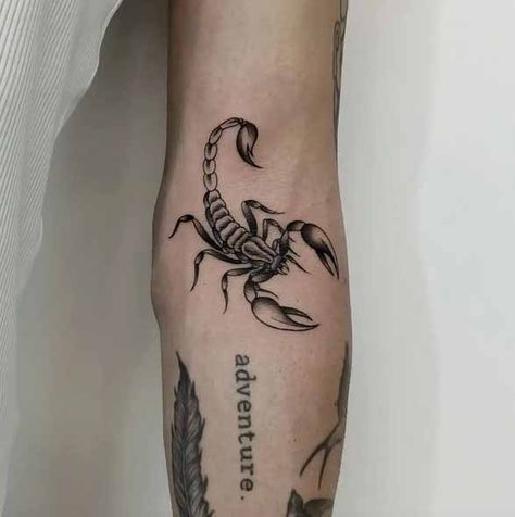 Animal And Insect Tattoos, Men Scorpio Tattoo Ideas, Scorpio Arm Tattoo, Scorpion Tattoo On Arm, Scorpio Tattoo Arm, Scorpion Arm Tattoo, Scorpio Hand Tattoo, Scorpion Tattoo Design For Women, Realistic Scorpion Tattoo