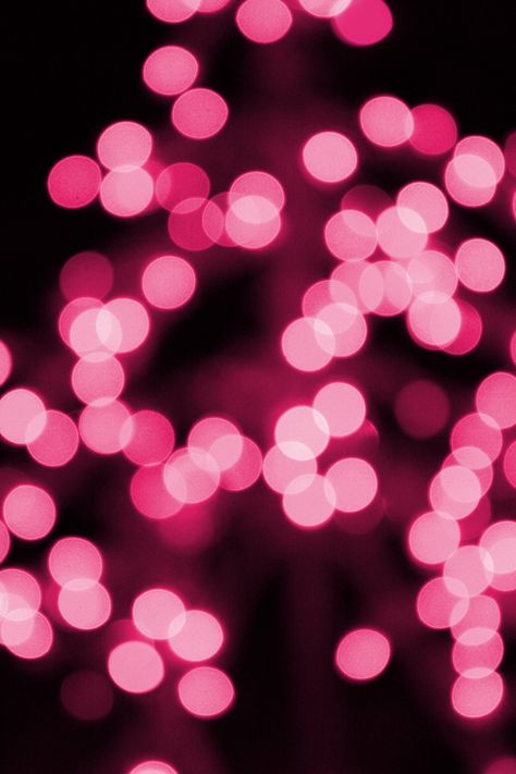 Pink Christmas Lights, Purple Christmas Lights, Christmas Lights Wallpaper, Purple Lighting, Free High Resolution Photos, Pink Ornament, Love Anniversary Quotes, Free Photographs, Happy Thanksgiving Quotes