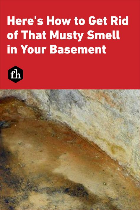 Basement Odor Eliminator, Musty Smell In House, Basement Odor, Mold In Basement, Mold Smell, Leaking Basement, Smell Remover, Dark Basement, Old Basement