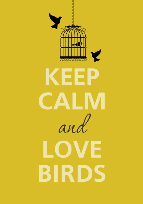 Keep calm and love birds by Agadart on Etsy Quotes For Birds, Bird Lover Quotes, Keep Calm Funny, Calm Sayings, Nature Printables, Birds Pet, Keep Calm Signs, Keep Calm Posters, Quotes About Everything