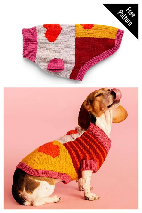 Dog Knitted Sweaters, Knitted Dog Pattern Free, Dog Jumper Knitting Pattern, Knitting Patterns For Dogs, Sweater Free Knitting Pattern, Pet Clothes Patterns, Diy Dog Sweater, Knitted Dog Sweater Pattern, Knitting Patterns Free Dog