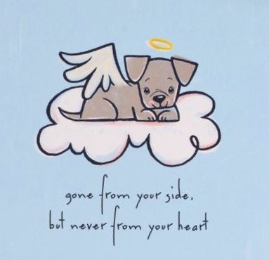 Missing My Dog Pet Loss, Run Free In Heaven Dog Quotes, Rip Dog Quotes, Losing A Pet Quotes, Rip Dog, Pet Condolences, Miss My Dog, Puppy Heaven, Dog Memorial Tattoos