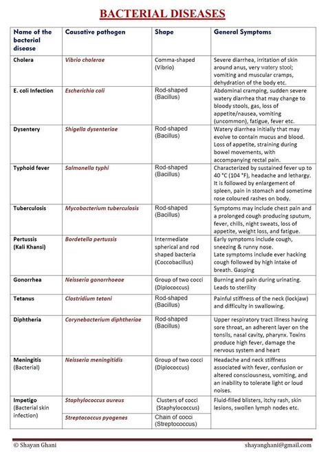 Microbiology Study, Medical Terminology Study, Medical Lab Technician, Medical Laboratory Technician, Microbiology Lab, Medical Laboratory Scientist, Bacterial Diseases, Laboratory Technician, Basic Anatomy And Physiology