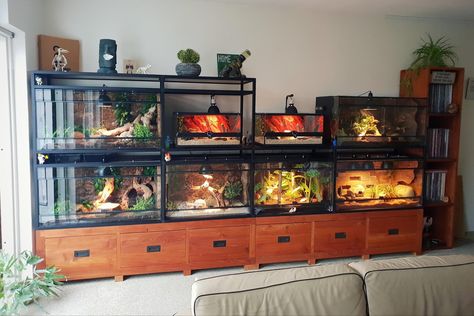 Reptile Setup Ideas, Reptile Room Setup Ideas, Snake Room Ideas, Reptile Room Setup, Reptile Room Decor, Snake Terrarium Ideas, Tegu Enclosure, Reptile Room Ideas, Snake Room