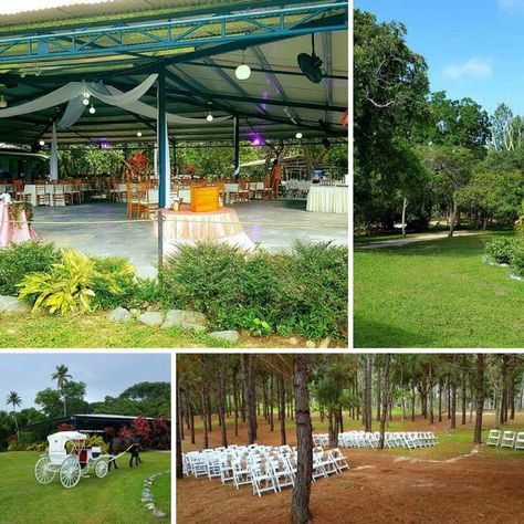 15 Central Trinidad Wedding Halls For Rent and Event Venues (Updated 2018)FacebookInstagramLinkedinTwitterFacebookInstagramLinkedinTwitter Trinidad Wedding, Wedding Halls, Wedding Hall, Outdoor Venues, Banquet Hall, Outdoor Wedding Venues, Event Venues, Trinidad, Outdoor Wedding