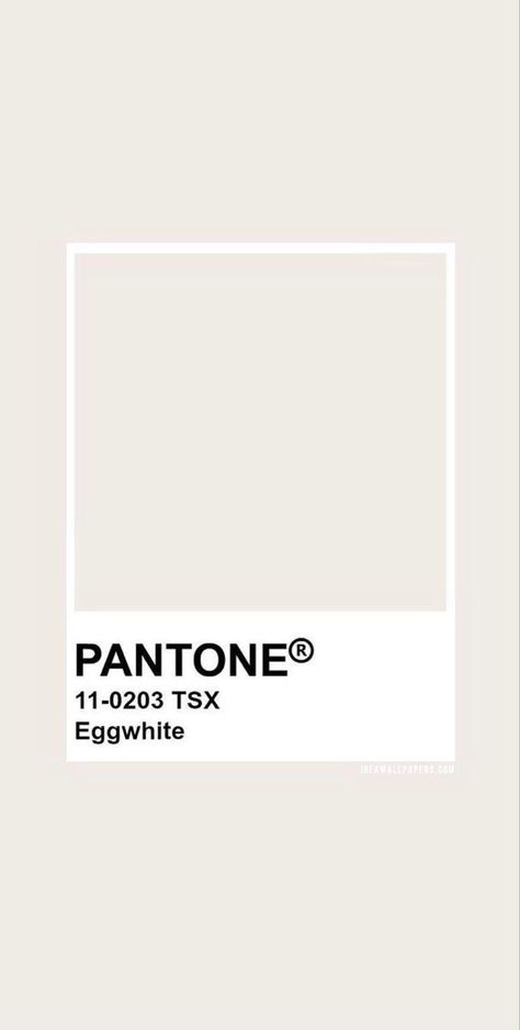 Pantone Cream White, Off White Colour Palette, Creme White Color, Cream Pantone, Pantone White, Beige Pantone, Pantone Color Book, White Pantone, Soft Beige Color