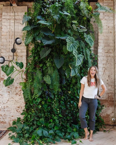 Mandi Gubler | Fearless DIYer (@vintagerevivals) • Instagram photos and videos Year Of Growth, Will Be Back Soon, Courtyard Design, Wall Systems, Living Wall, Tropical Garden, Plant Decor, Dream Home, Garden Inspiration